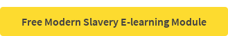 Free Modern Slavery E-learning Module