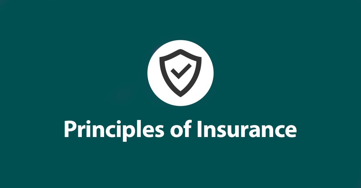 Principles of Insurance